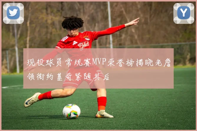 现役球员常规赛MVP荣誉榜揭晓老詹领衔约基奇紧随其后